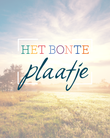 Logo-ontwerp voor Het Bonte Plaatje.